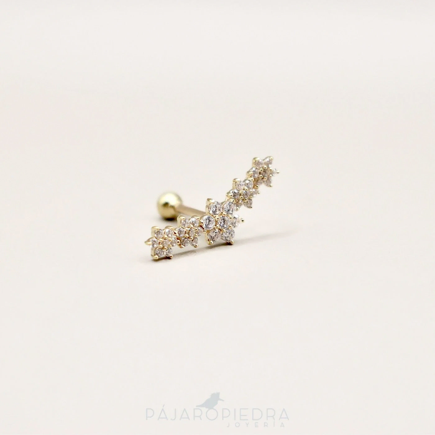 Piercing 14K Ramo · Fine Collection