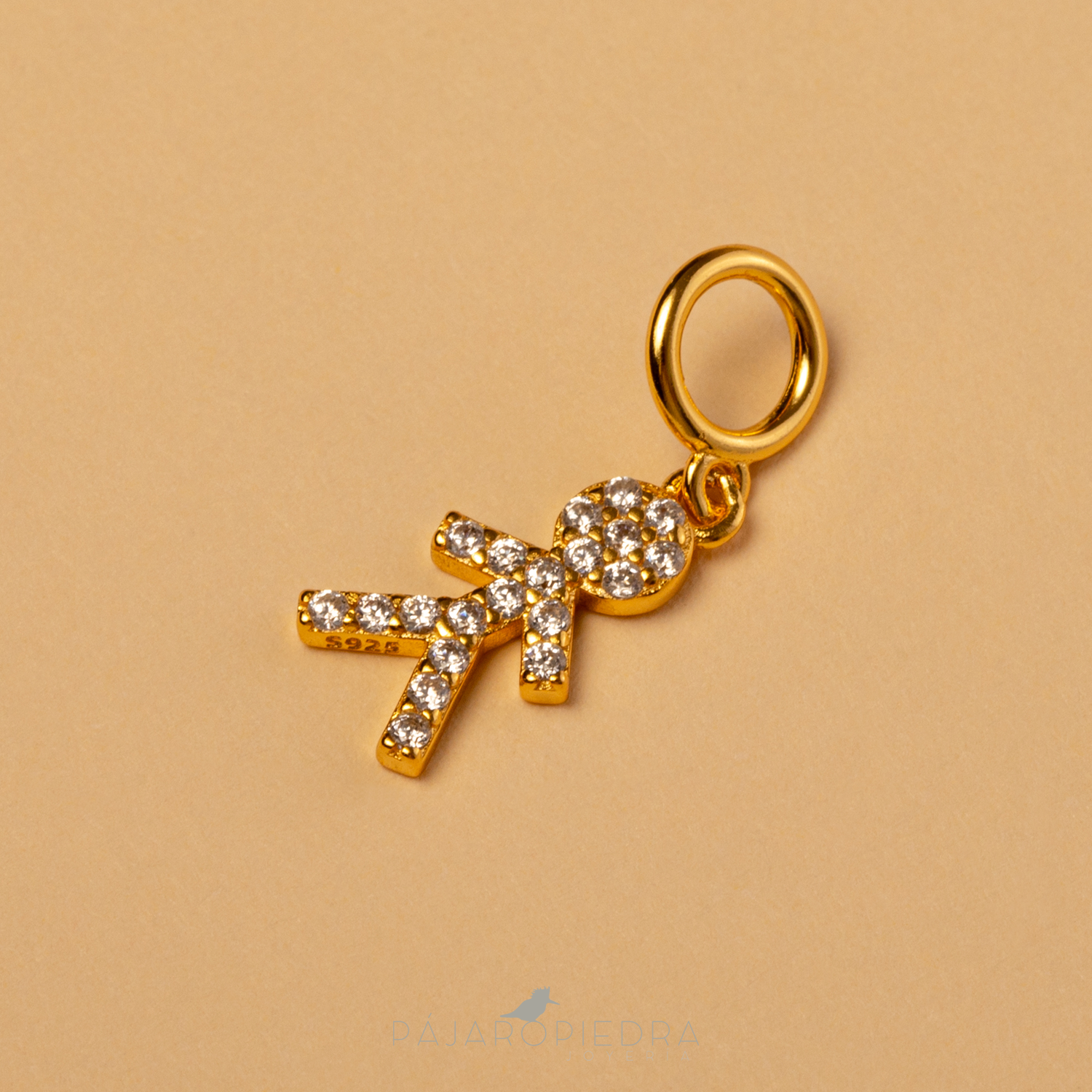 Collar Charms Plateado- Cadena Clip ¡Personalízalo!