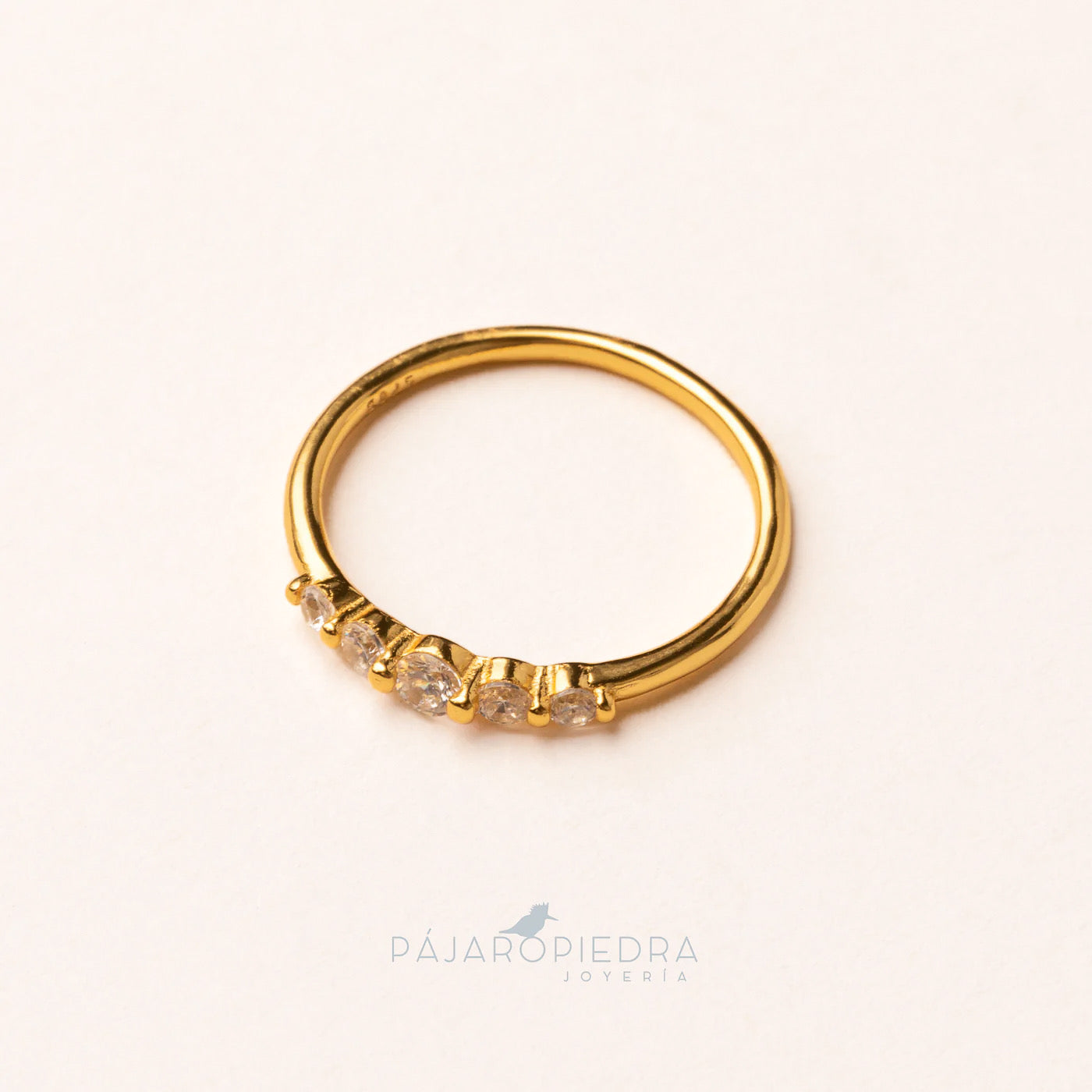 Anillo Burbuja