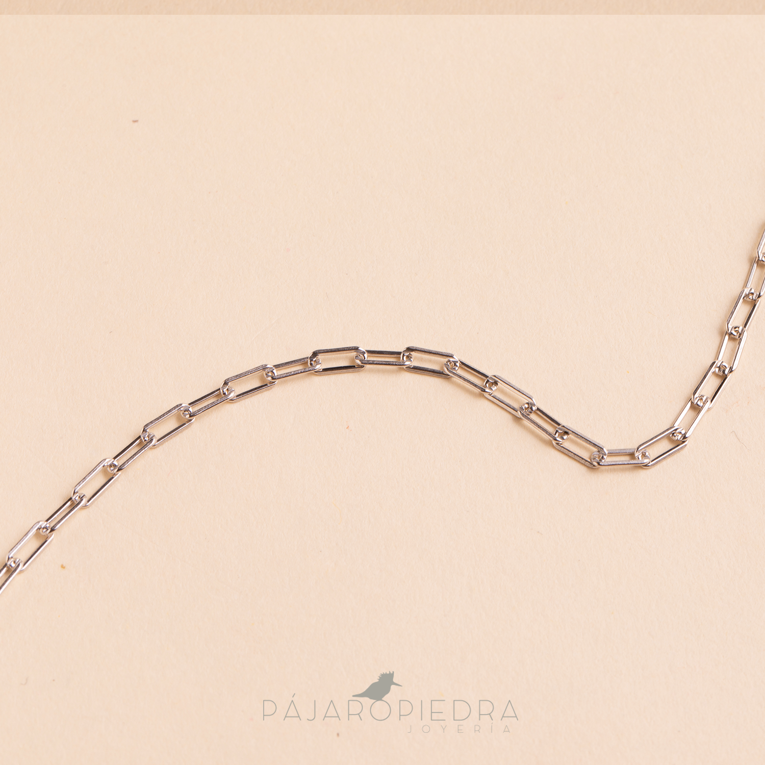 Collar Charms Plateado- Cadena Clip ¡Personalízalo!