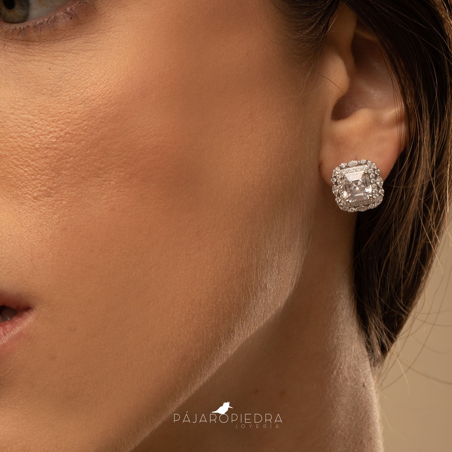 Aretes Iris- Bliss