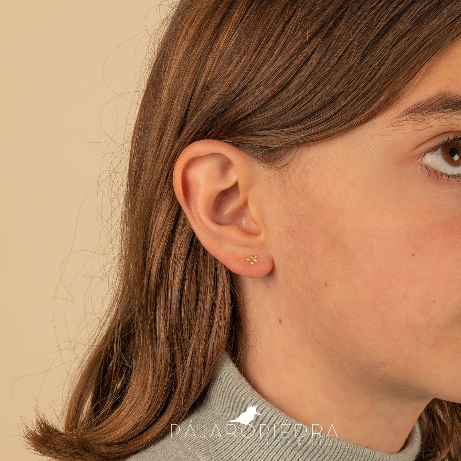 Broquel Estrella de Mar · Fine Collection