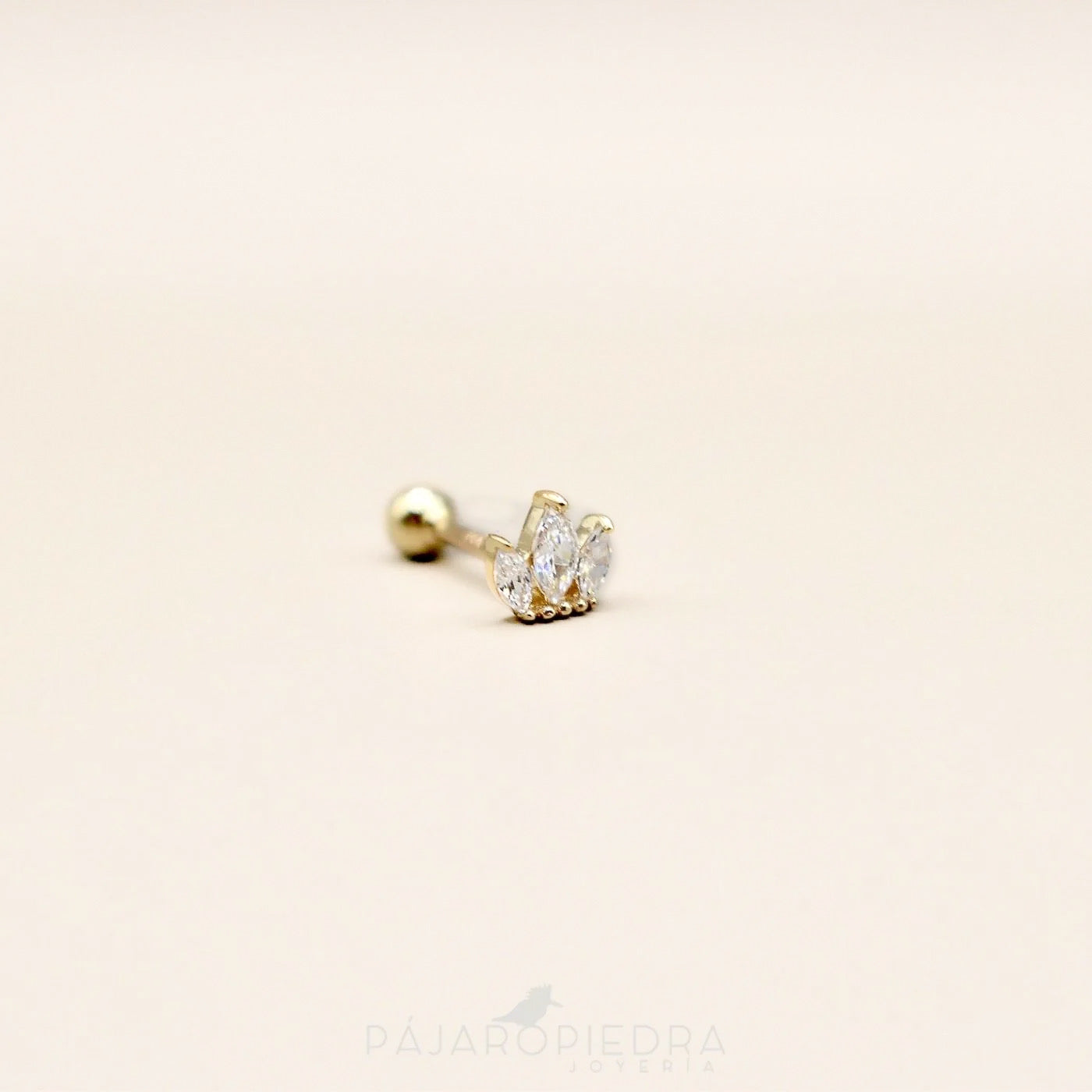 Piercing 14K Nolo · Fine Collection