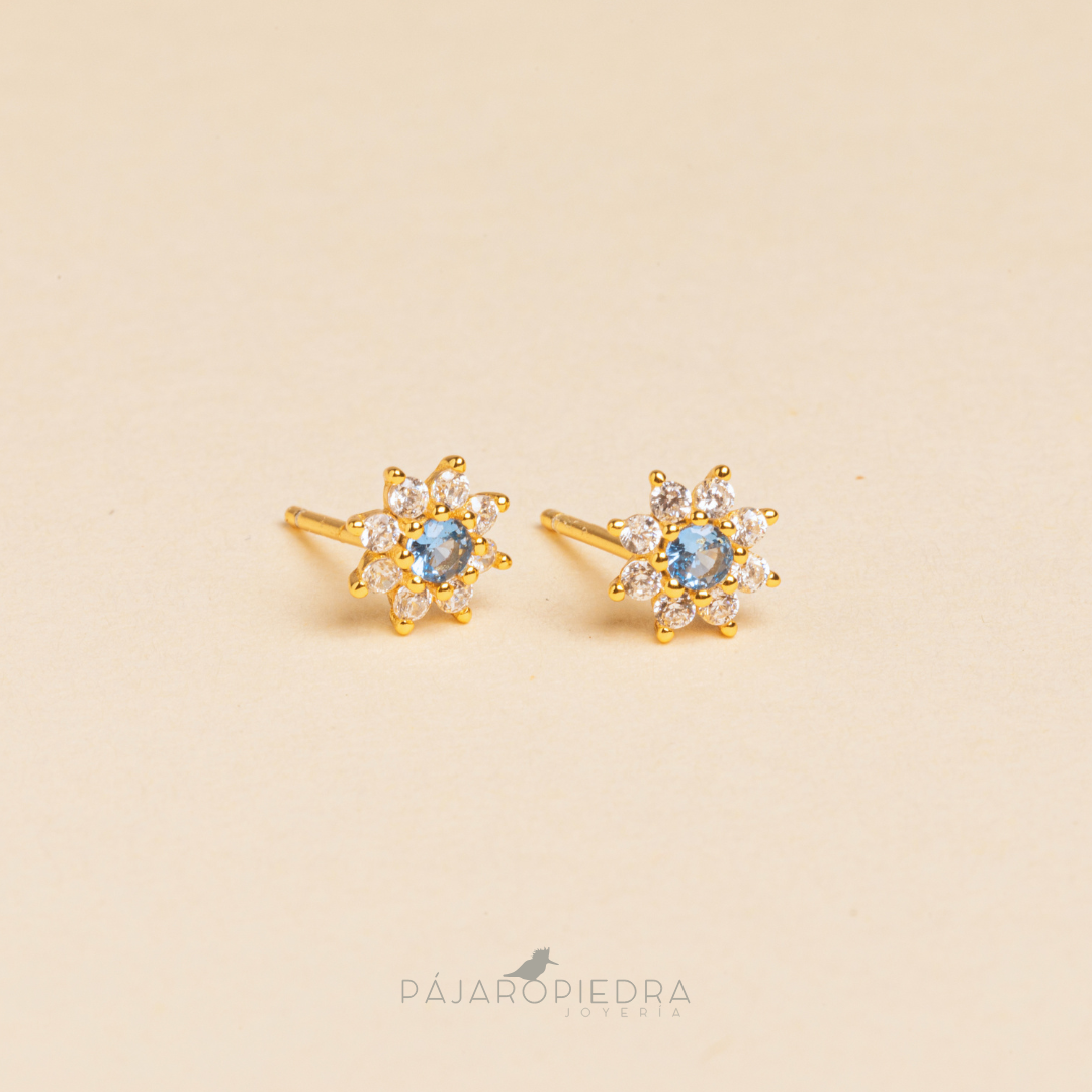 Aretes Clavel