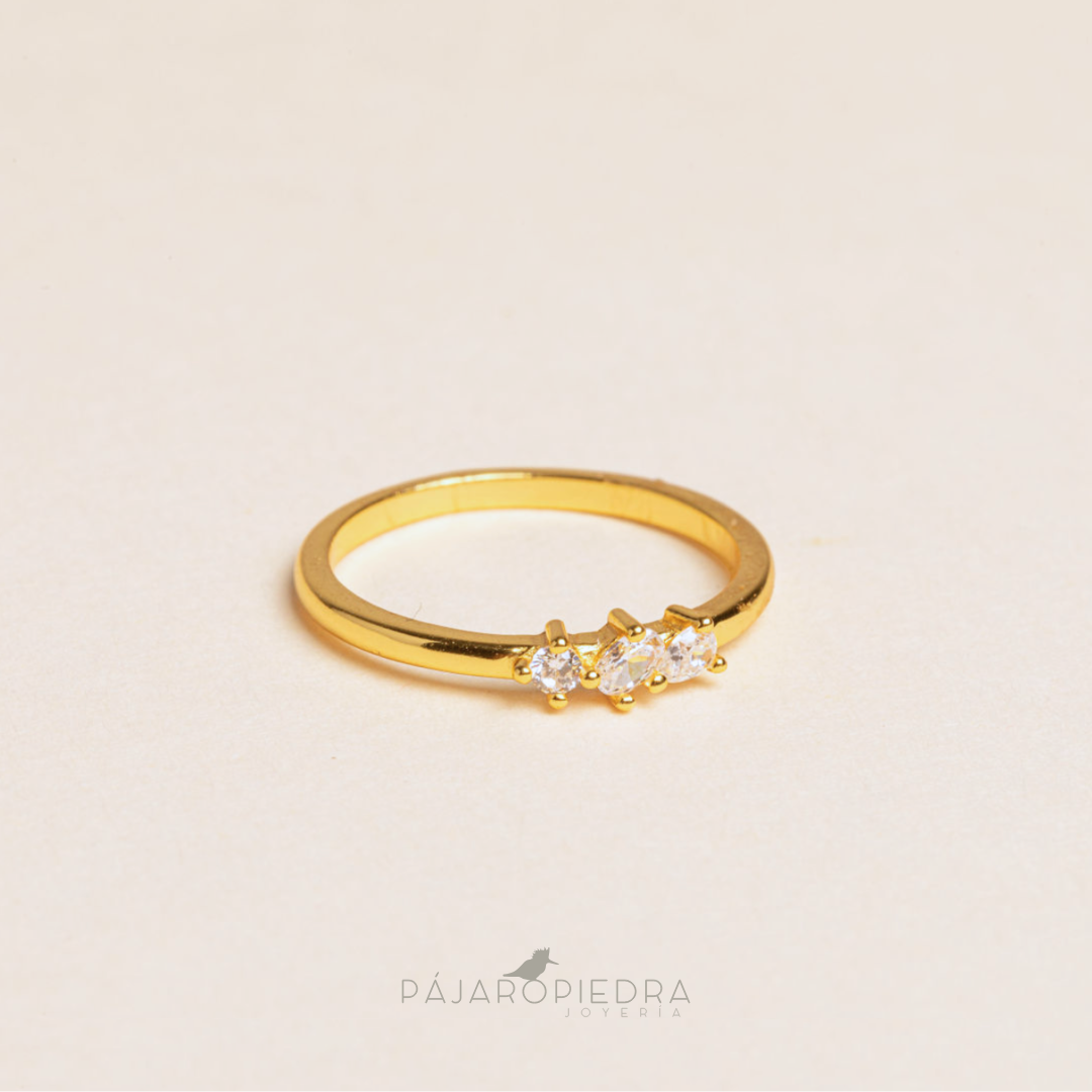 Anillo Geo