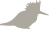 PájaroPiedra