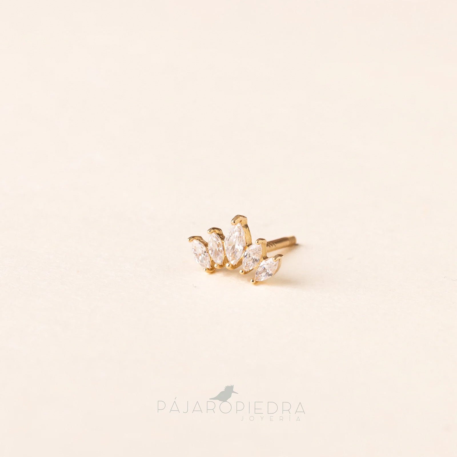 Piercing 14K Tana · Fine Collection