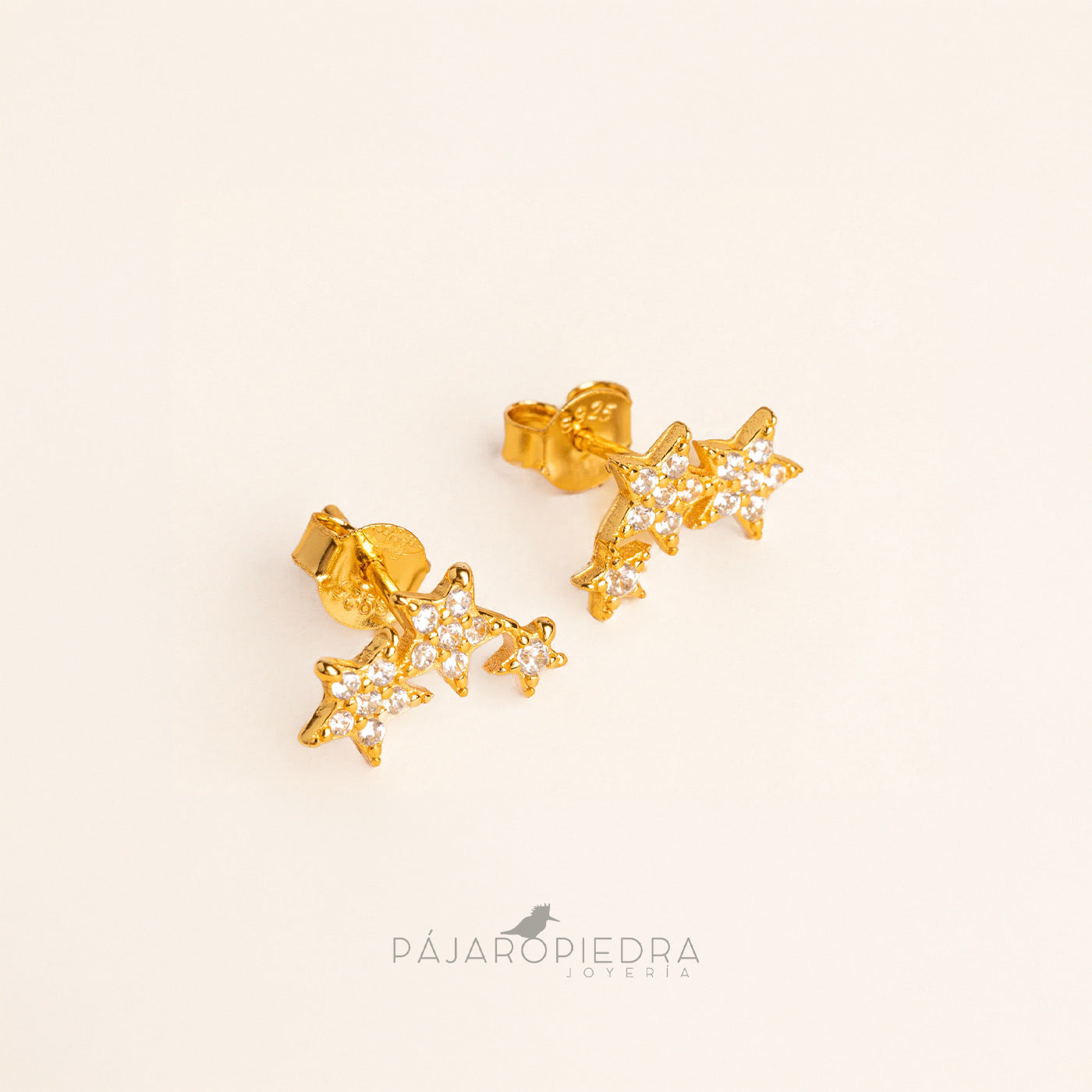 Aretes Estrella de Noche