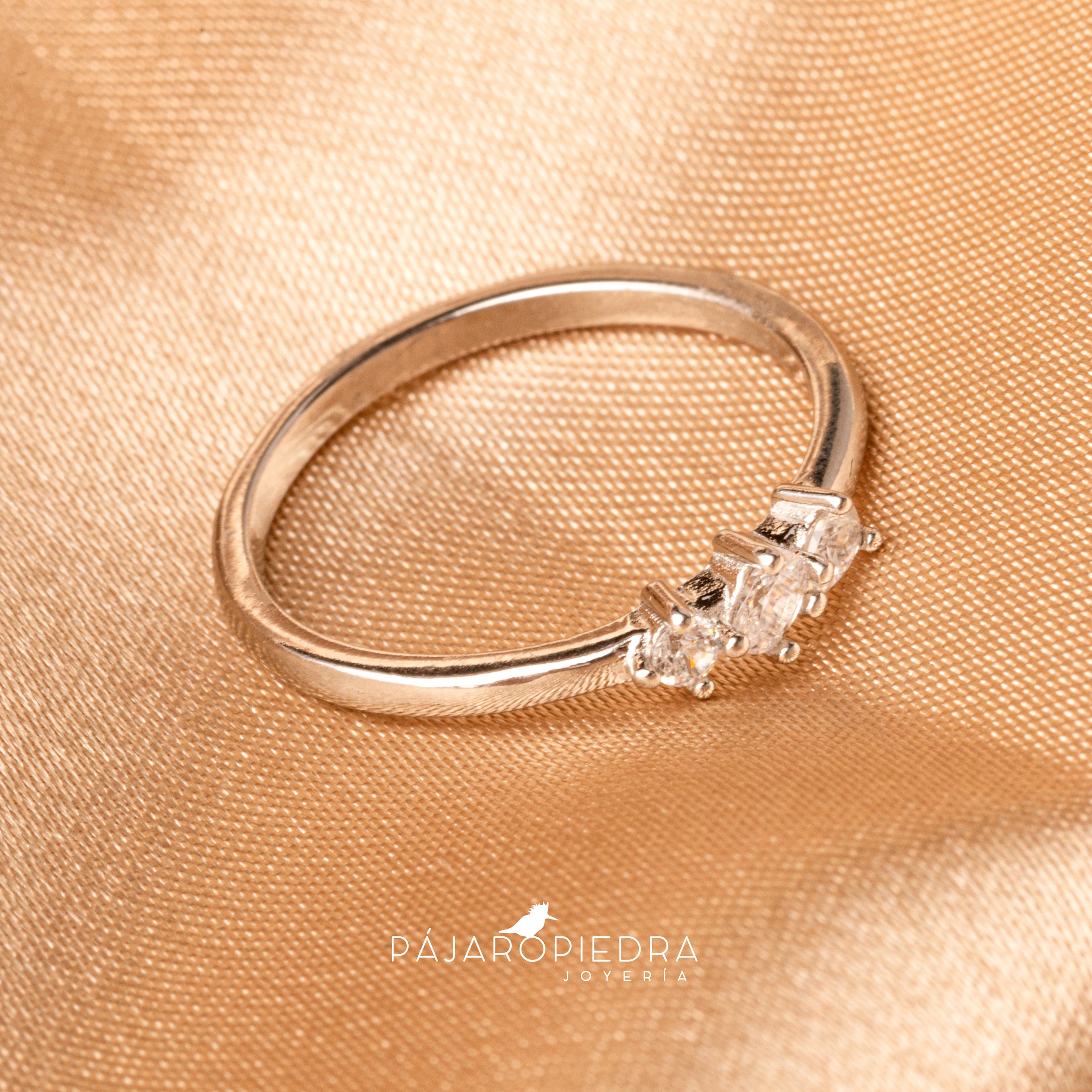 Anillo Geo