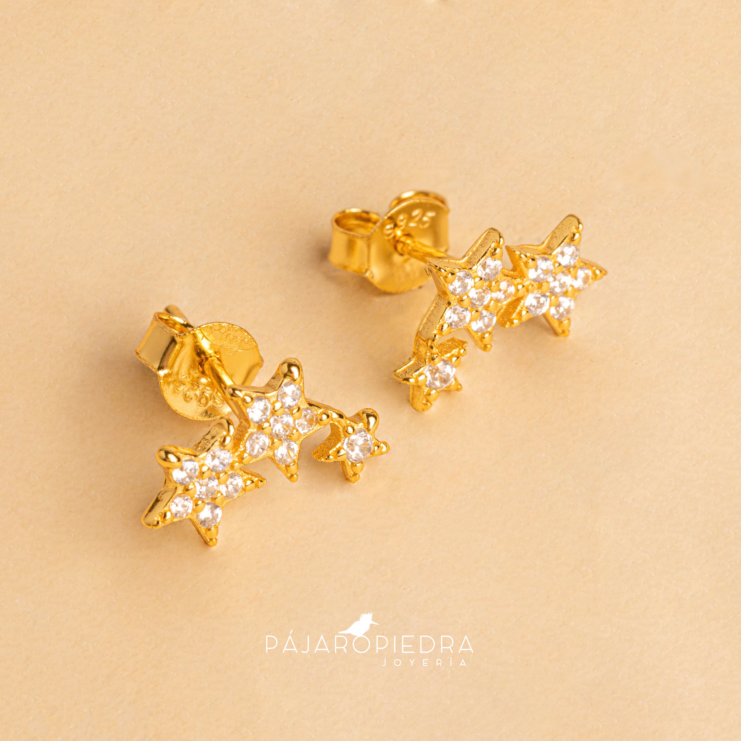 Aretes Estrella de Noche