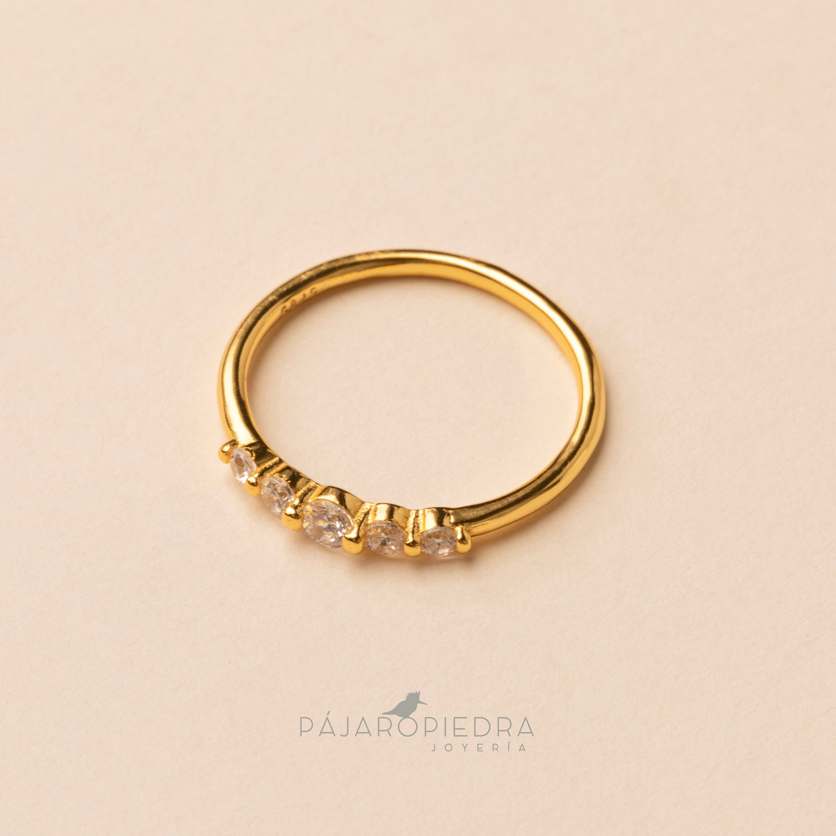 Anillo Burbuja