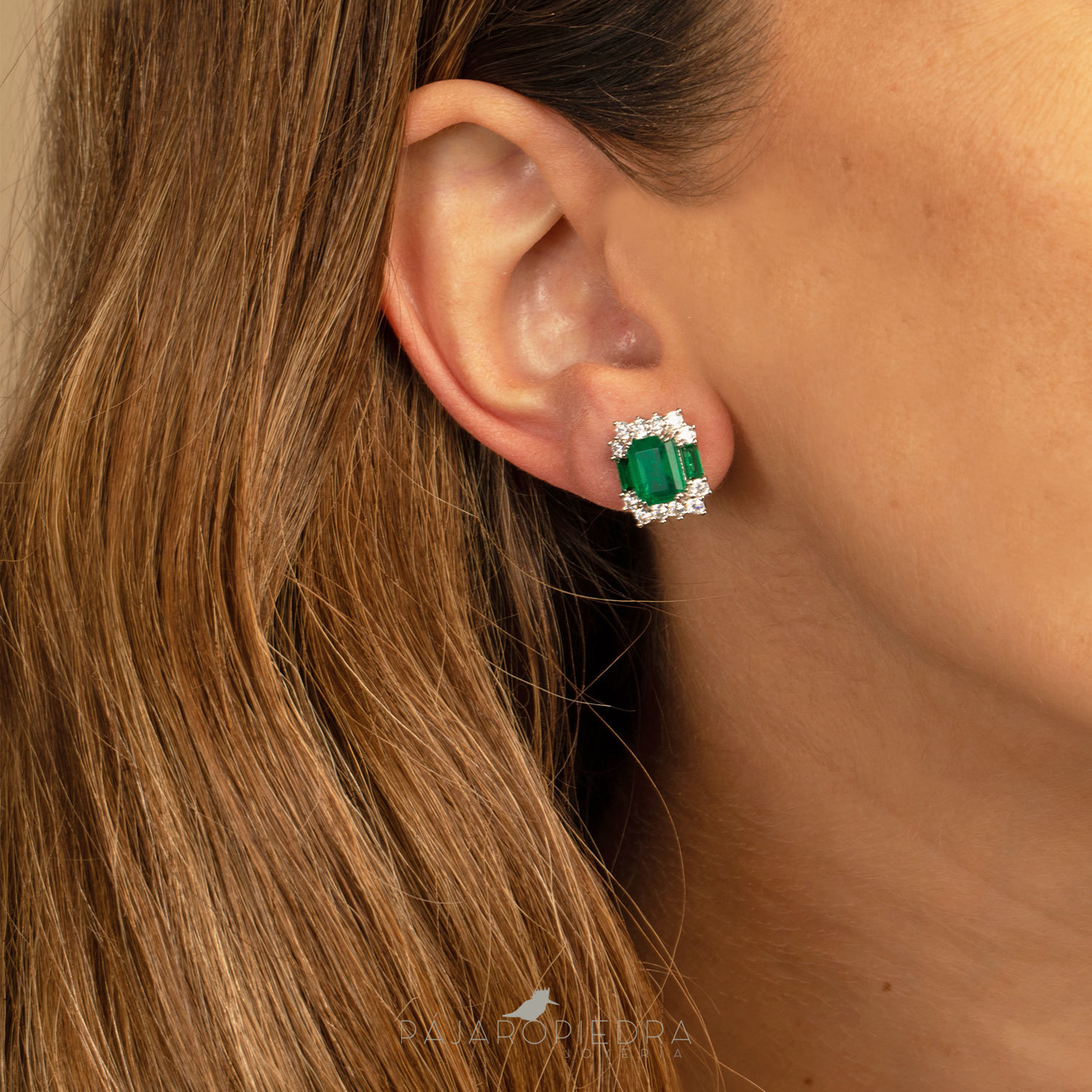 Aretes Bliss -Bliss