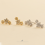 Aretes 3 Flores