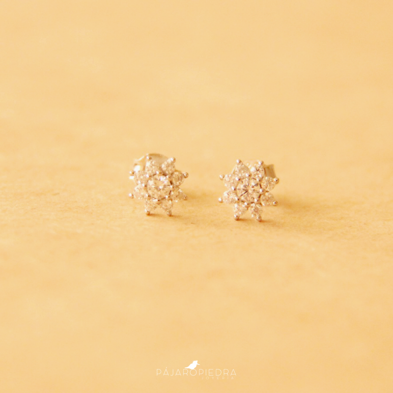 Aretes Clavel