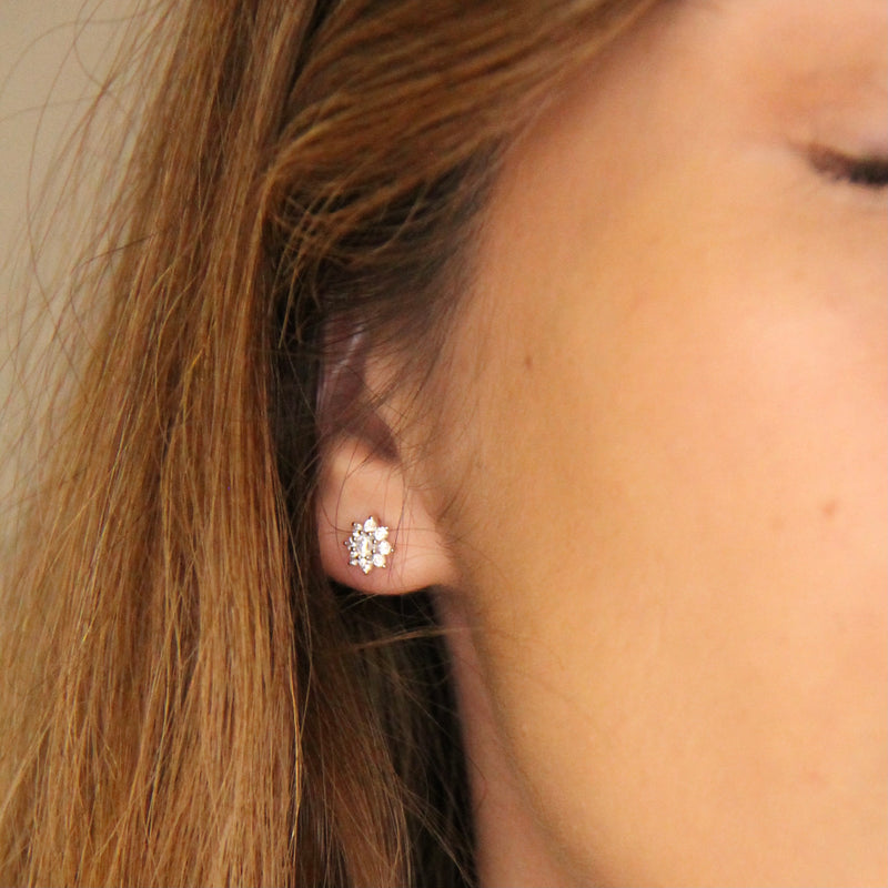 Aretes Clavel