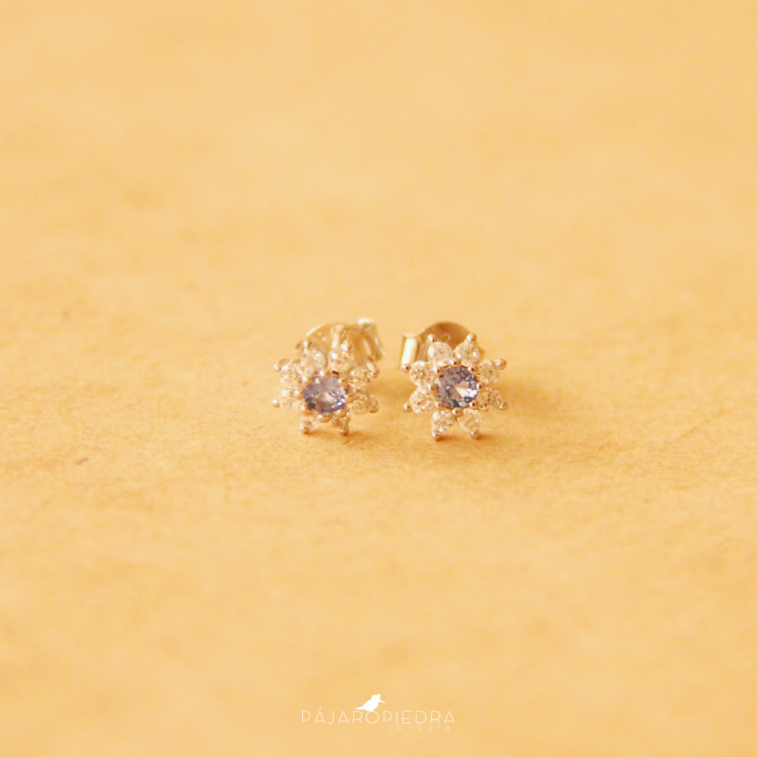Aretes Clavel